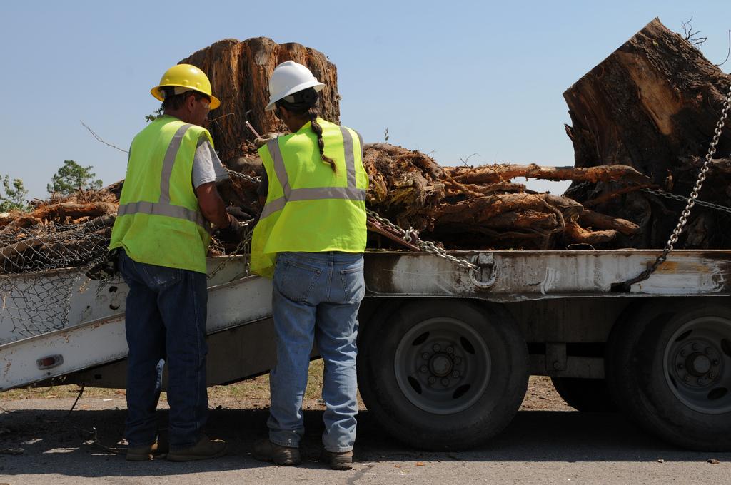 A giant stump that was cut out of the ground being loaded onto the back of a flatbed truck